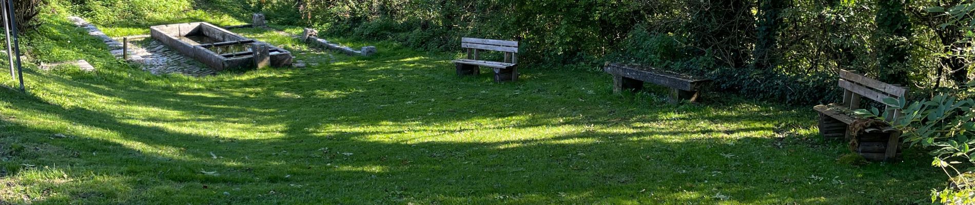 Trail Walking Marigny - Le tour lac Chalain  - Photo