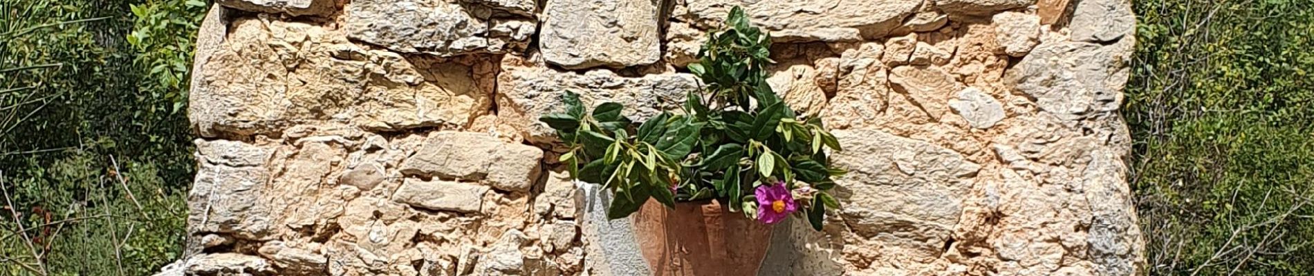 Excursión Senderismo La Valette-du-Var - Le coudon par baudouvin - Photo