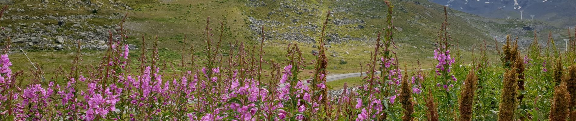 Randonnée Marche Les Belleville - Lacs de Val Thorens (boucle sens horaire) - Photo