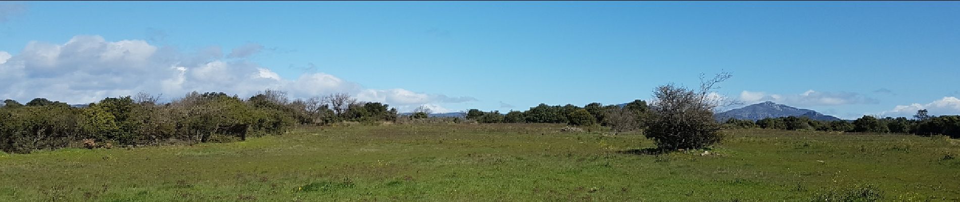 Excursión Marcha nórdica Le Puech - Les Vailhés Salagou Pradines L'Auverne - Photo