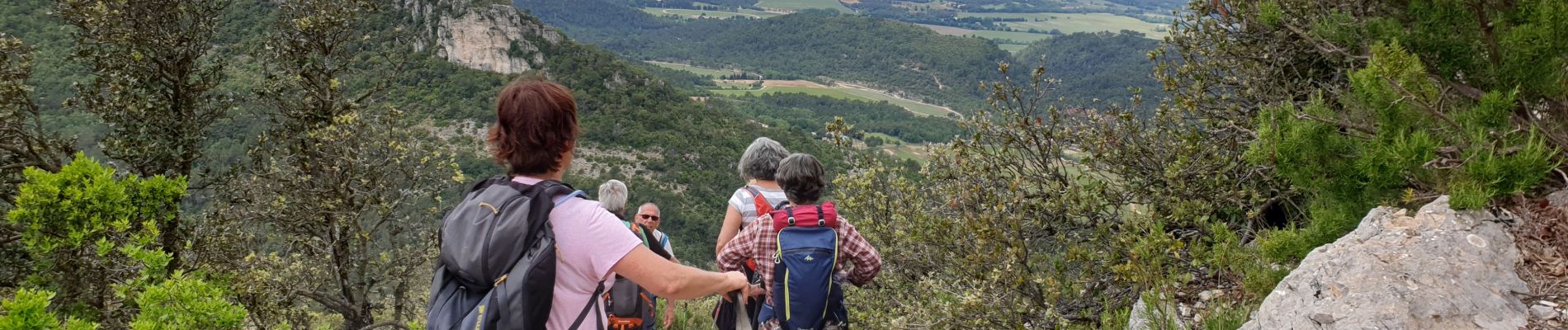 Tocht Stappen Brignoles - Le Candelon - Photo