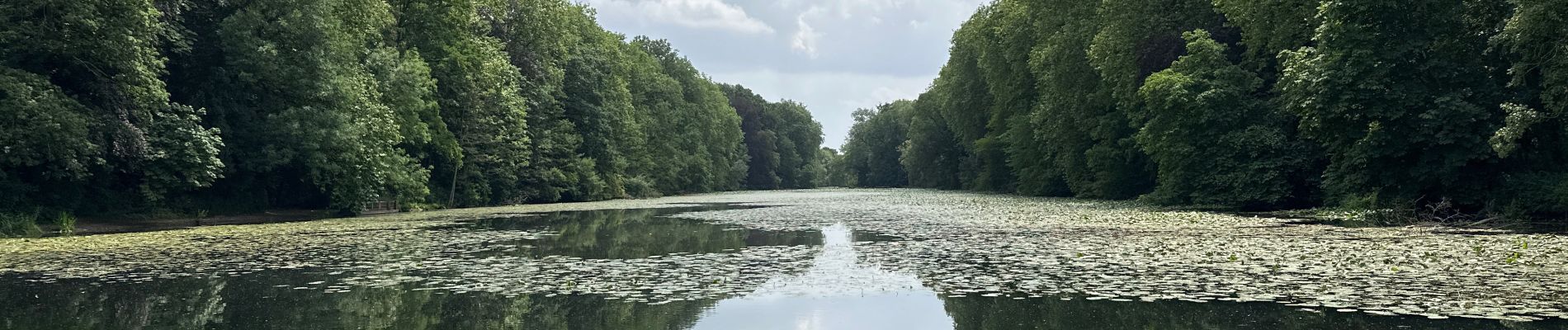 Tour Wandern Enghien - Enghien 13,7 km - Photo