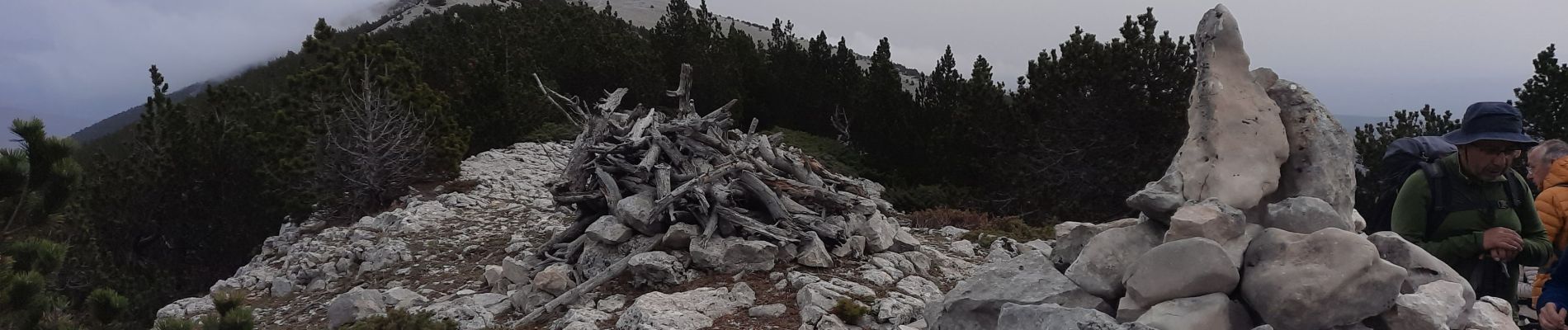 Randonnée Marche Beaumont-du-Ventoux - Ventoux-Rochers de Cachillan 12km - Photo