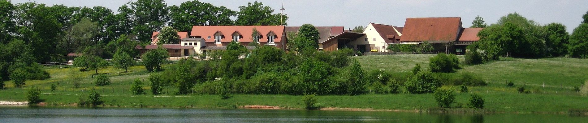 Tour Zu Fuß Roth - Seebühler Rundweg - Photo