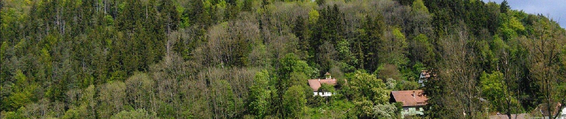 Excursión A pie Gomadingen - Beuron - Petershöhle - Donau - Werenwag - Photo