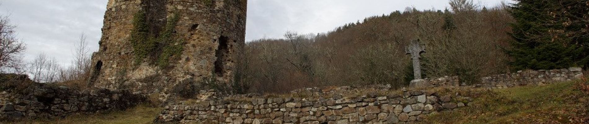 Randonnée A pied Montfermy - Foret Domaniale de la Chartreuse - Photo