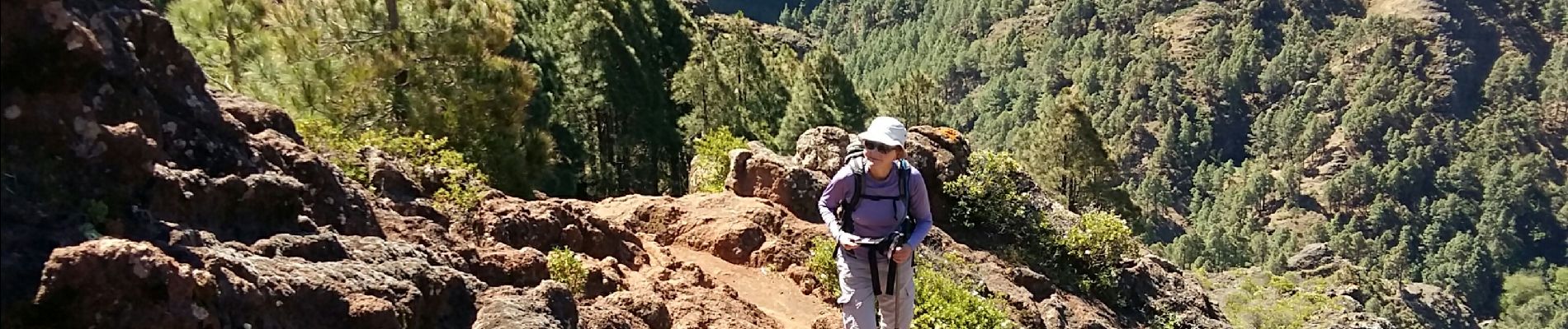 Excursión Senderismo San Sebastián de la Gomera - La Gomera - La Zarcita la Laja el Bailadero 7/5/2019  - Photo