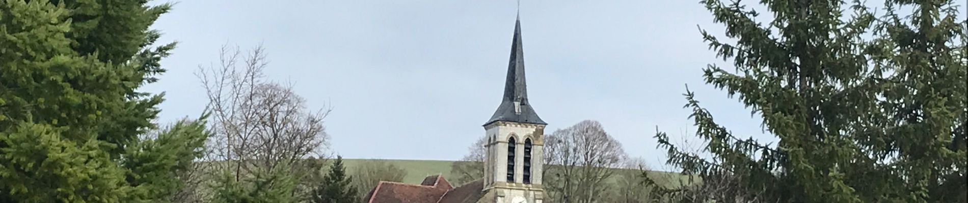 Randonnée Marche Messon - Entre Messon et Bucey - Photo