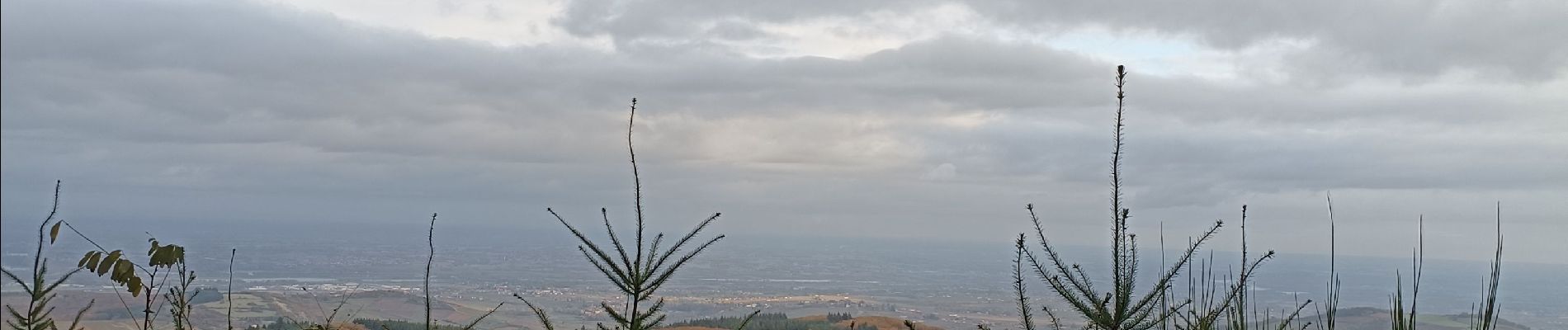 Randonnée Marche Cenves - circuit les bois  - Photo