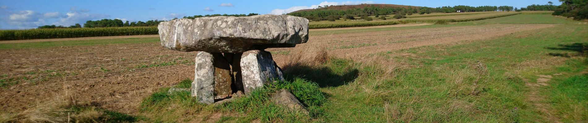 Percorso Marcia Saint-Nic - Saint Nic - boucle Ménez Hom et Dolmen de Ménez Lié - 11.1km 305m 3h10 - 2019 09 07 - Photo