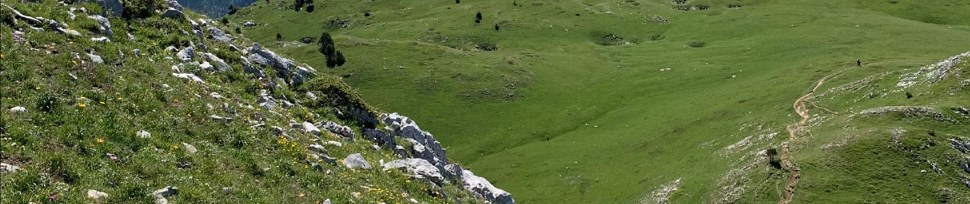 Tocht Stappen Gresse-en-Vercors - Grand Veymont - Photo