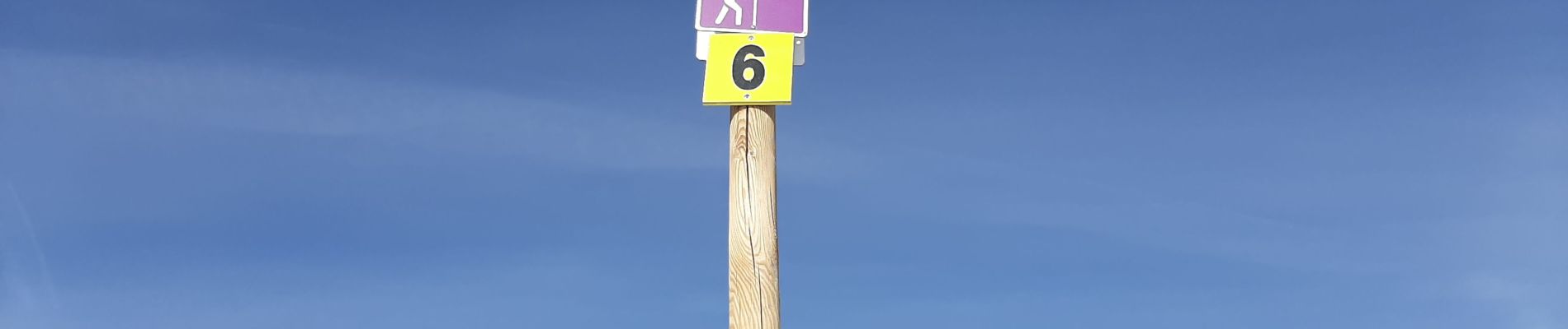 Tocht Sneeuwschoenen Aillon-le-Jeune - GNB Bauges - Margeriaz  - Photo