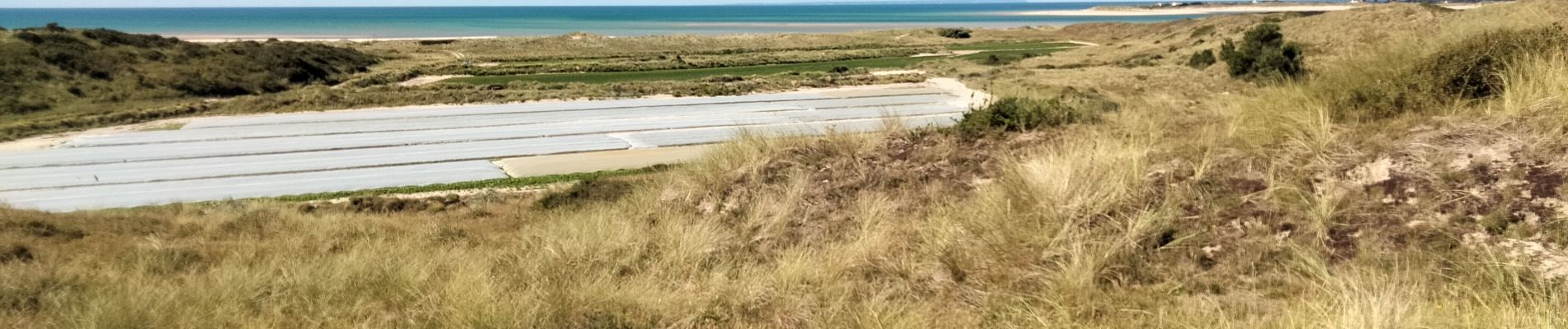 Percorso Marcia Créances - dunes créance - Photo