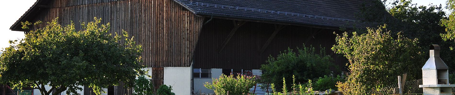 Percorso A piedi Rümlang - Chatzenrüti - Oberhasli - Photo