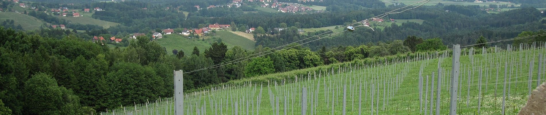 Percorso A piedi Sankt Stefan ob Stainz - GenussSchilchern dort - Photo