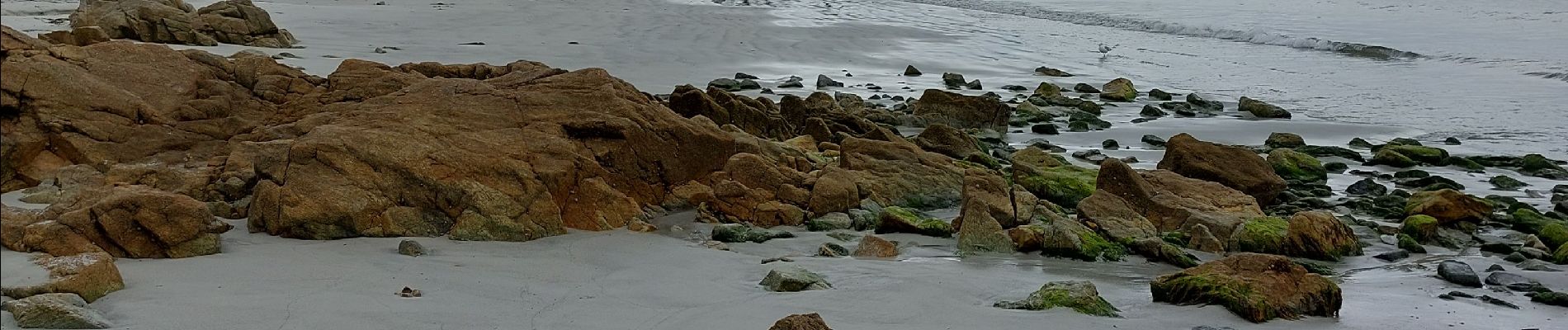 Randonnée Marche Trégunc - plage de Pouldohan  - Photo