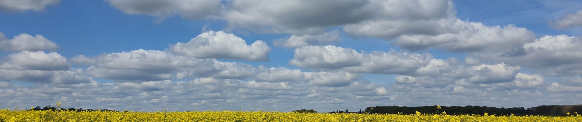 Tocht Stappen Étrépagny - Etrépagny, La Broche, Le Mesnil Guilbert - Photo