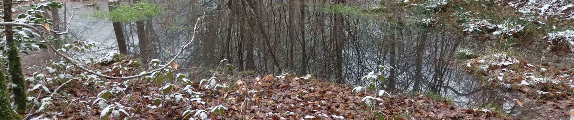 Tocht Stappen Bouilly - Balade dans les bois - Photo