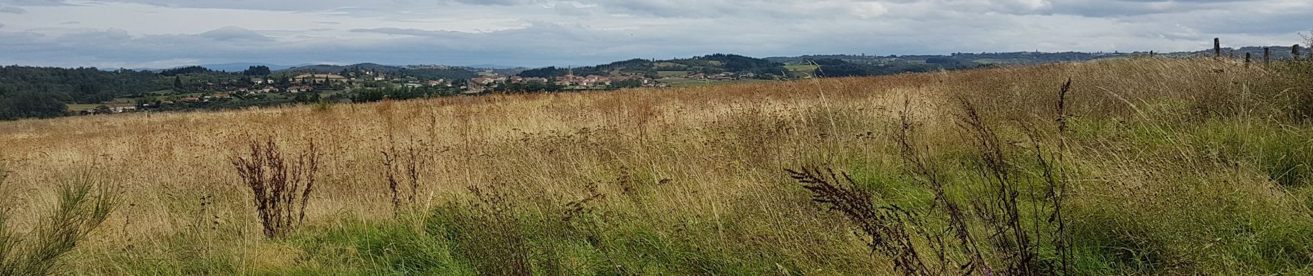 Tour Wandern Périgneux - Boucle Périgneux - Photo