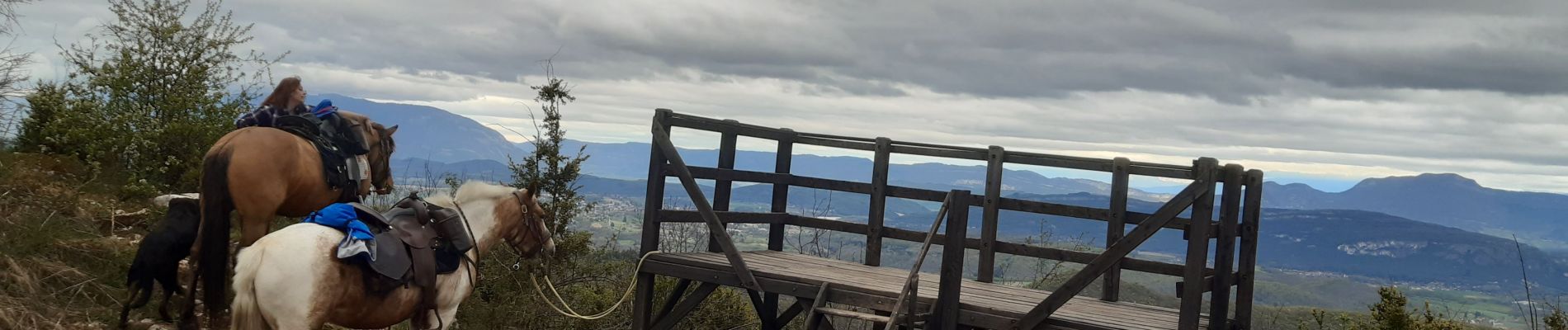 Randonnée Randonnée équestre Groslée-Saint-Benoit - la montagne de st Benoit par la piquette et retour par farou - Photo