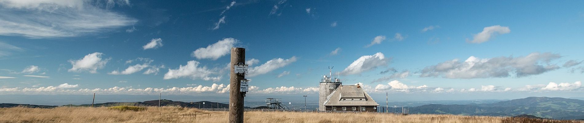 Randonnée A pied Kirchzarten - Kirchzarten - Feldberg - Photo