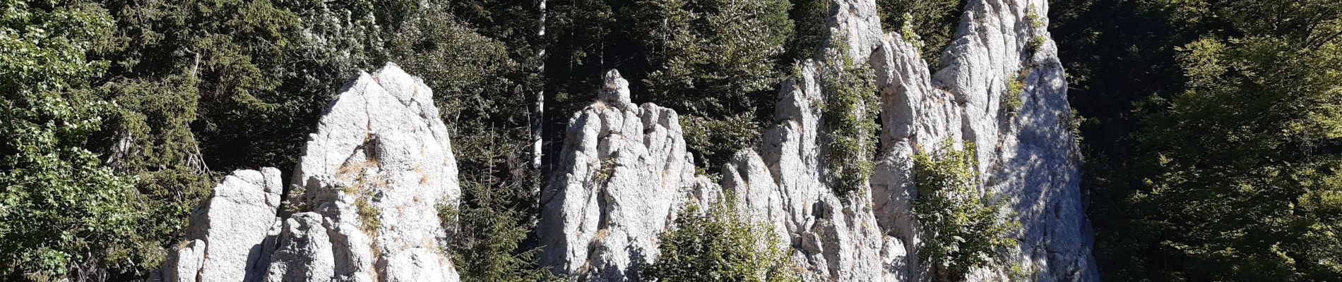 Excursión Senderismo Les Alliés - GTJ jour 7 - Photo