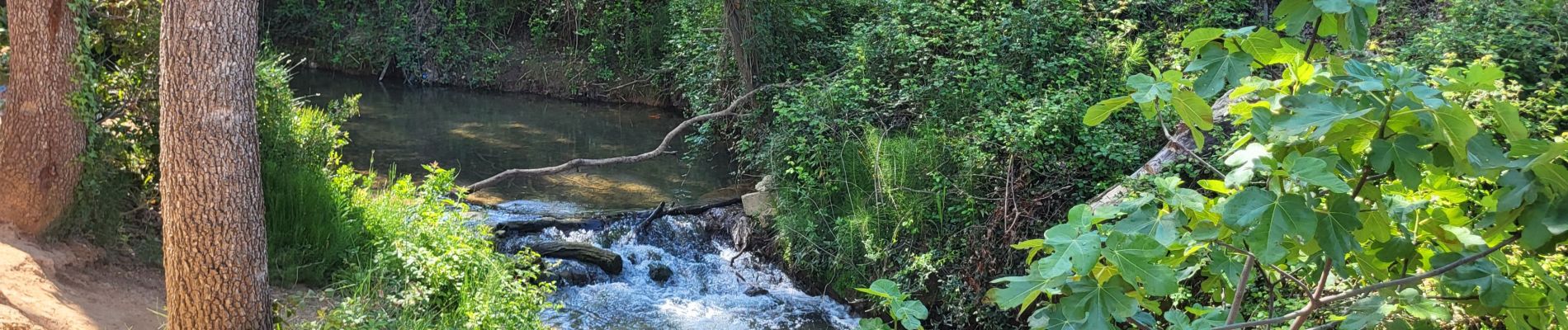 Tour Wandern Vitrolles - Vitrolles les Infernets - Photo