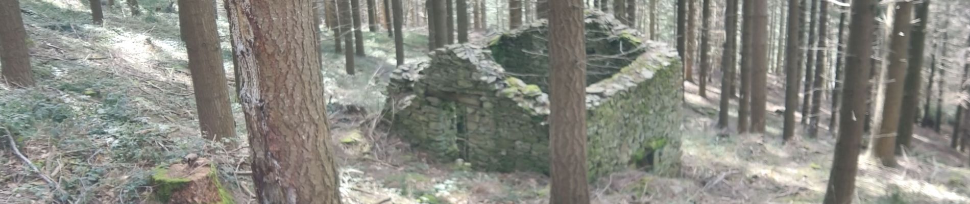 Percorso Marcia Cans et Cévennes - Le Mazel de Mort - Photo