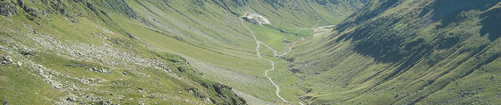 Tour Zu Fuß Unbekannt - Fereastra Zmeilor - Șaua dintre Lacuri - Cabana Podragu - Photo