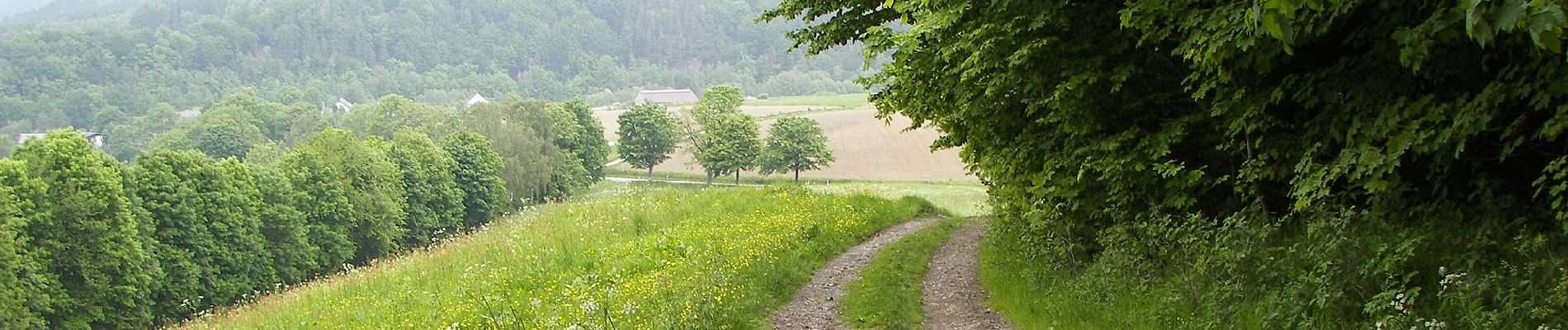 Excursión A pie Augustusburg - Großer Ermannsdorfer Rundweg - Photo