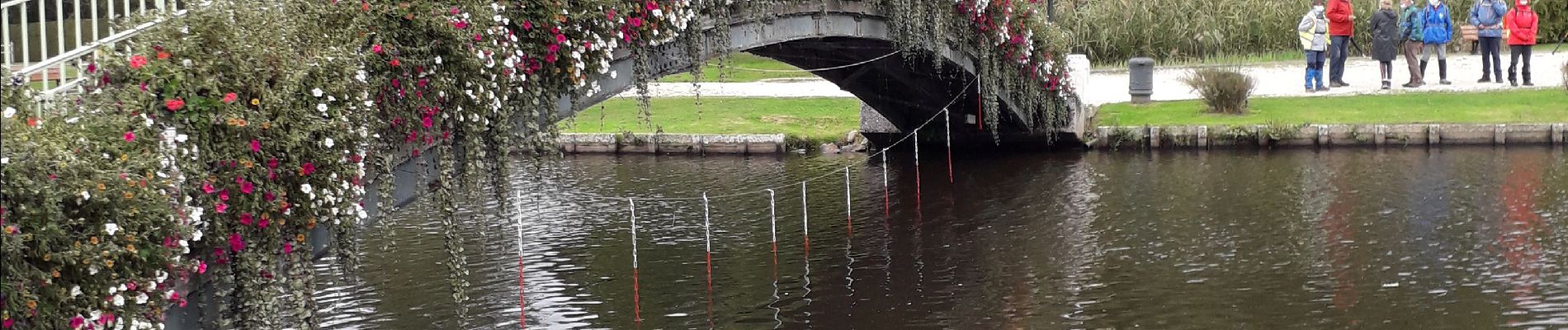 Tocht Stappen Bagnoles-de-l'Orne-Normandie - Bagnoles de l' orne - Photo