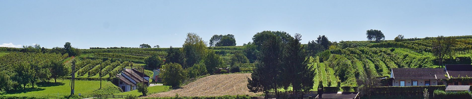 Tour Zu Fuß Gemeinde Atzenbrugg - Trasdorfrunde - Photo