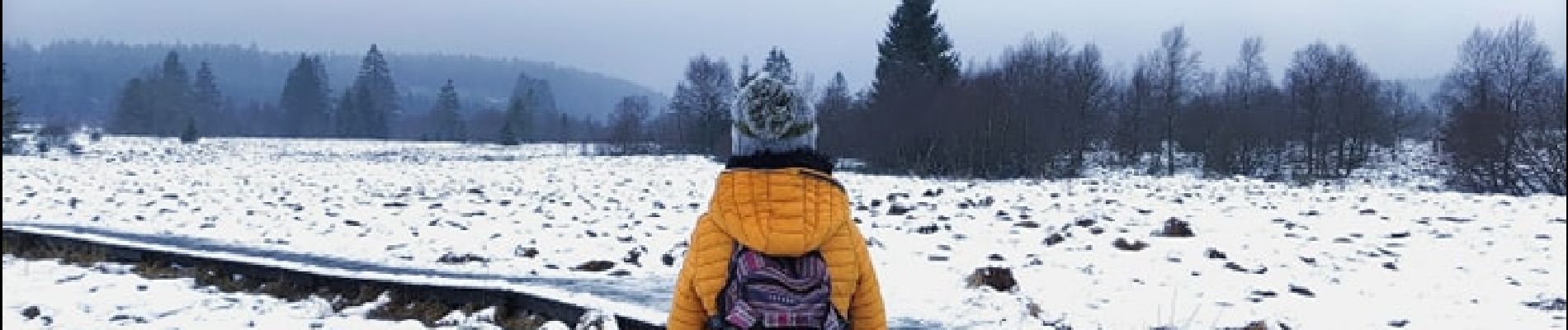 Trail Walking Waimes - La fagne de la Poleur. - Photo