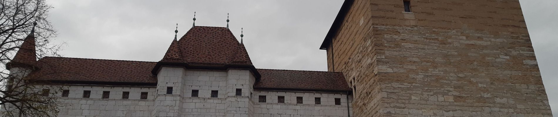 Randonnée Marche Annecy - Annecy Les Puisots en AR - Photo