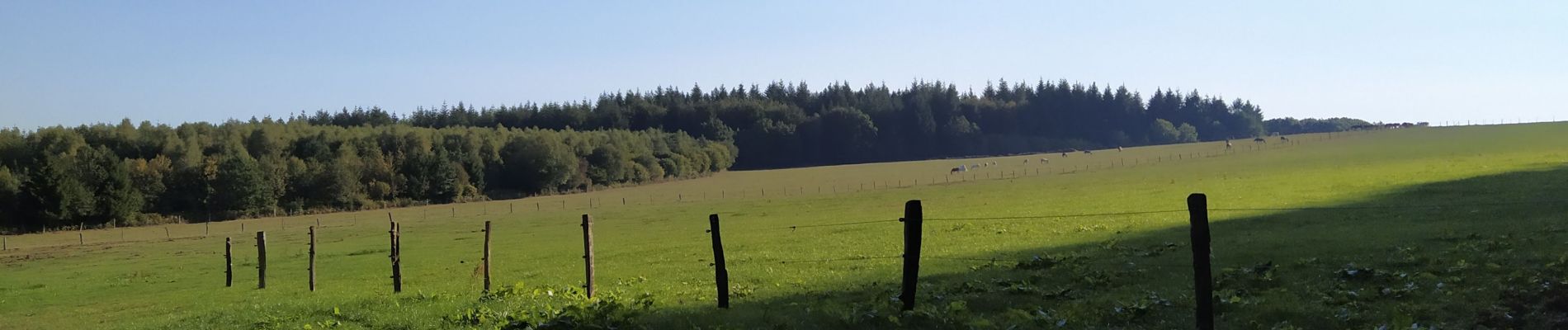 Excursión Senderismo Bièvre - Bièvre le Maquis promenade 14  - Photo