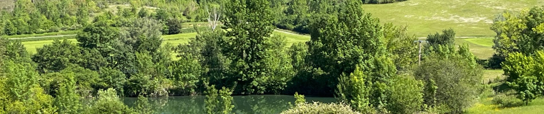 Trail Montcuq-en-Quercy-Blanc - Montcuq Laurette - Photo