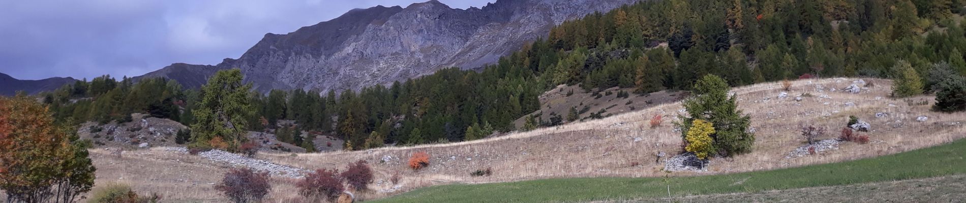 Tocht Stappen Chorges - Au dessus de Chorges - Photo