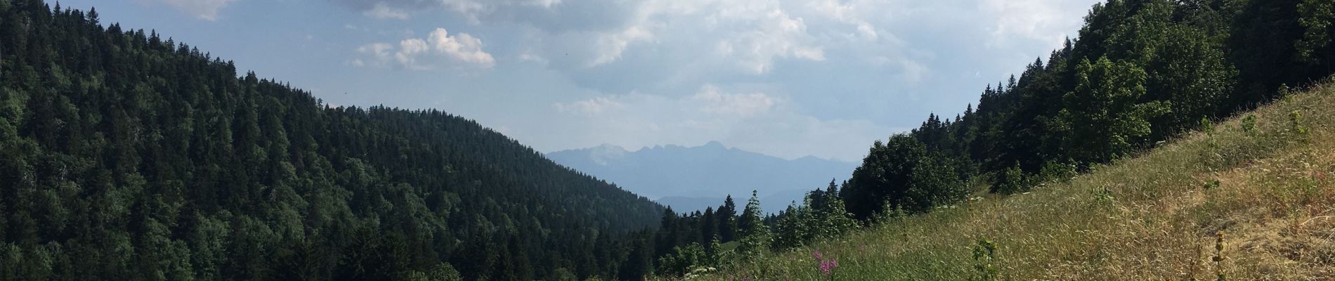 Tocht Stappen Autrans-Méaudre en Vercors - Signal de Nave - Photo