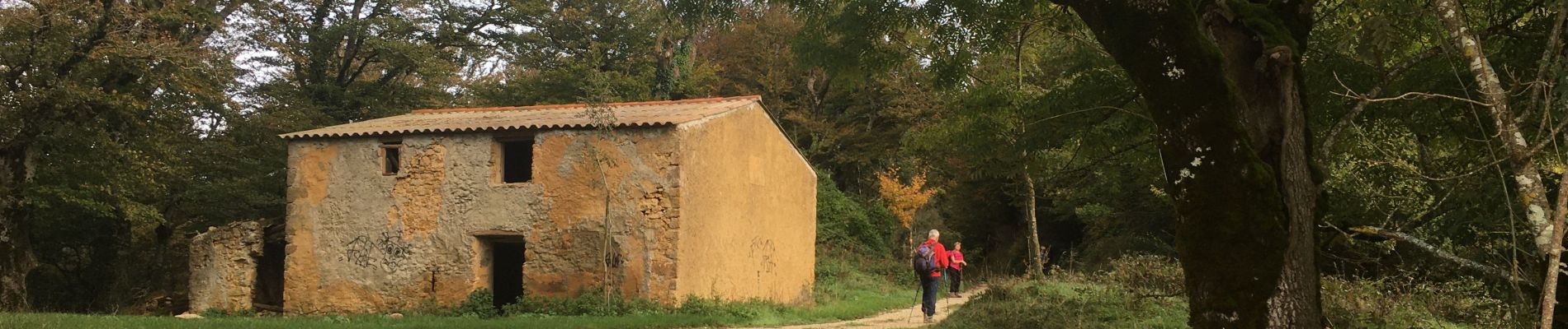 Tocht Stappen Bugarach - Bugarach - Fontaine salée (La Salz) - Photo