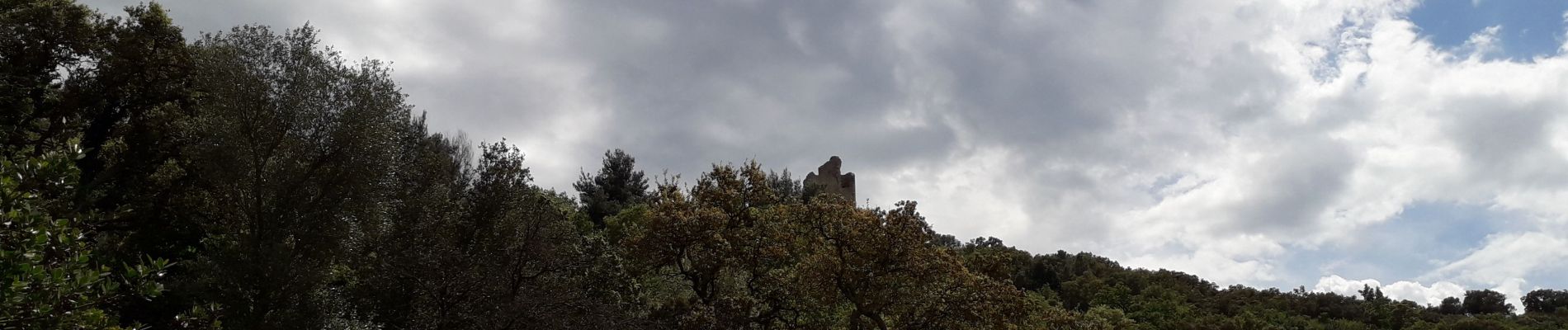 Trail Walking Grimaud - le pont des fées et le moulin de st Roch - Photo