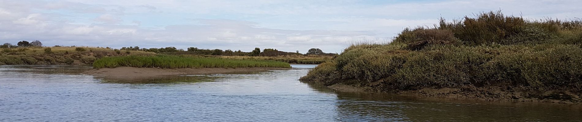 Tour Kanufahren - Kajakfahren Talmont-Saint-Hilaire - le payré  talmont - Photo