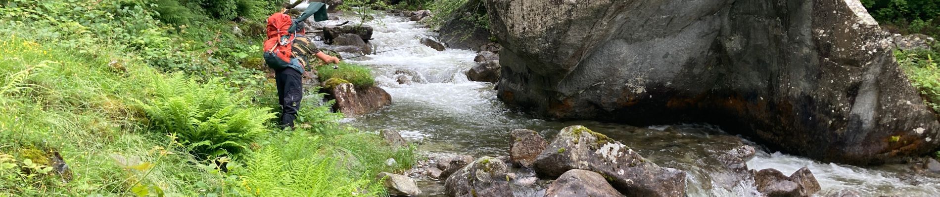 Trail Walking Bordes-Uchentein - Estagnous - Photo