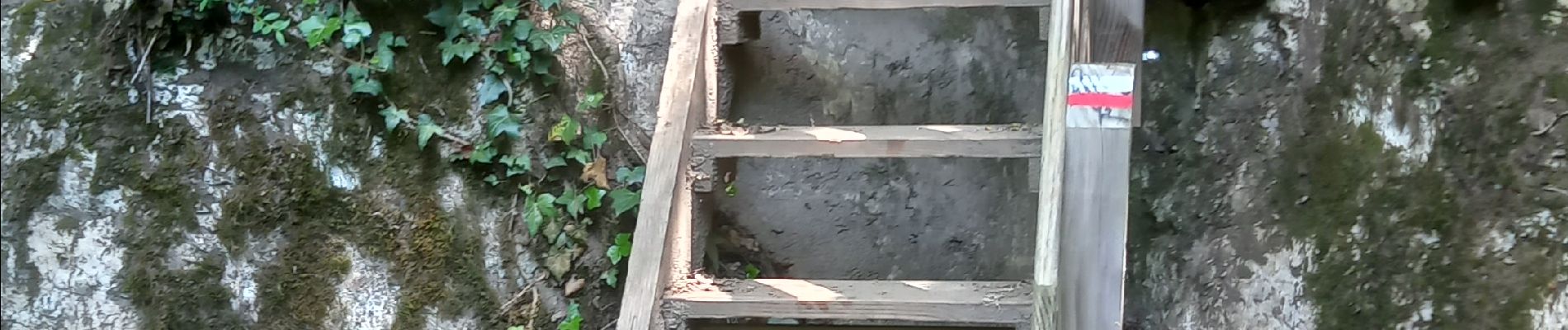 Point d'intérêt La Malène - escalier  - Photo