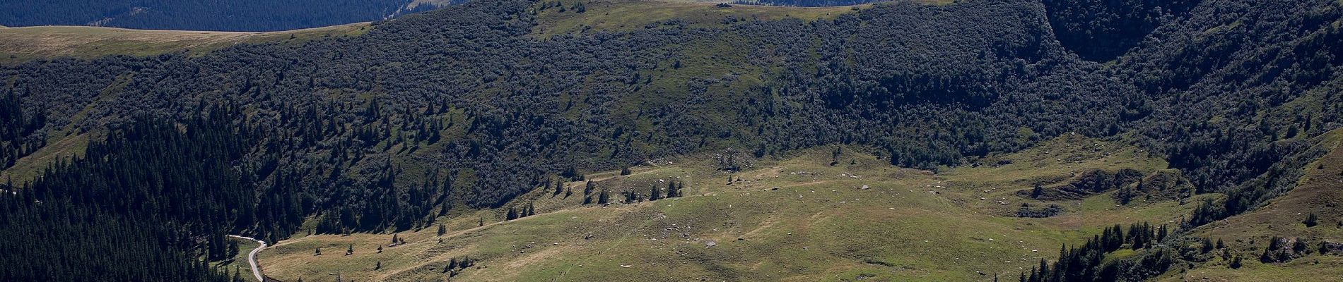 Percorso A piedi Bad Schwanberg - Grünangerhütte - Rundweg - Photo