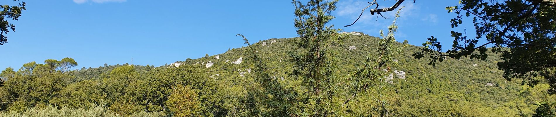 Tocht Stappen Méounes-lès-Montrieux - Meounes le Garagai de Signoret - Photo