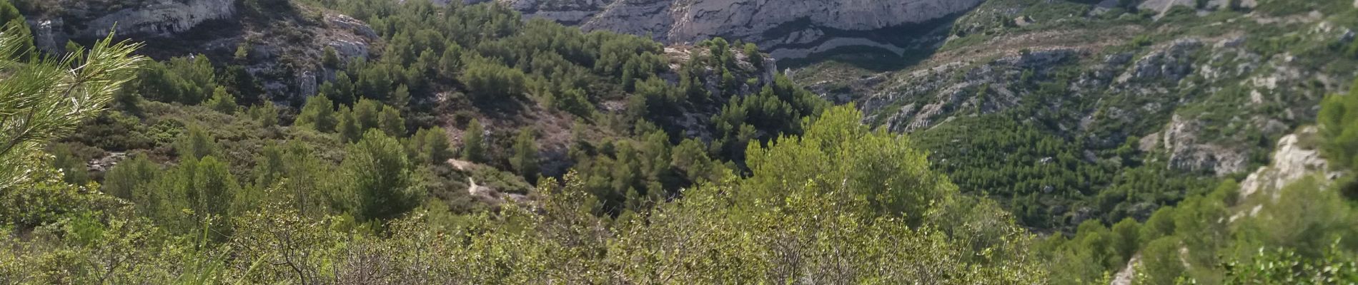 Trail Walking Marseille - luminy- morgiou - Photo