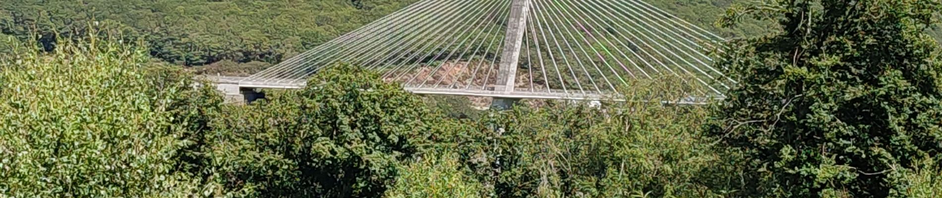 Tocht Stappen Argol - Pont de Terenez 13-07-2022 - Photo