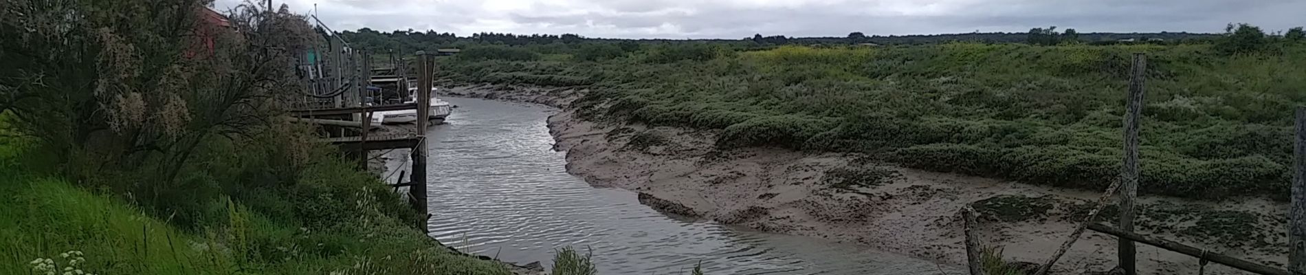 Randonnée Marche Mornac-sur-Seudre - Mornac - Photo