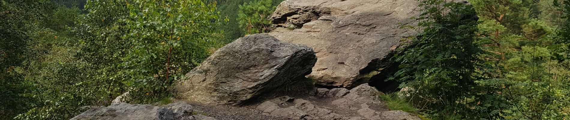 Tour Wandern Malmedy - Baugnez  - Photo