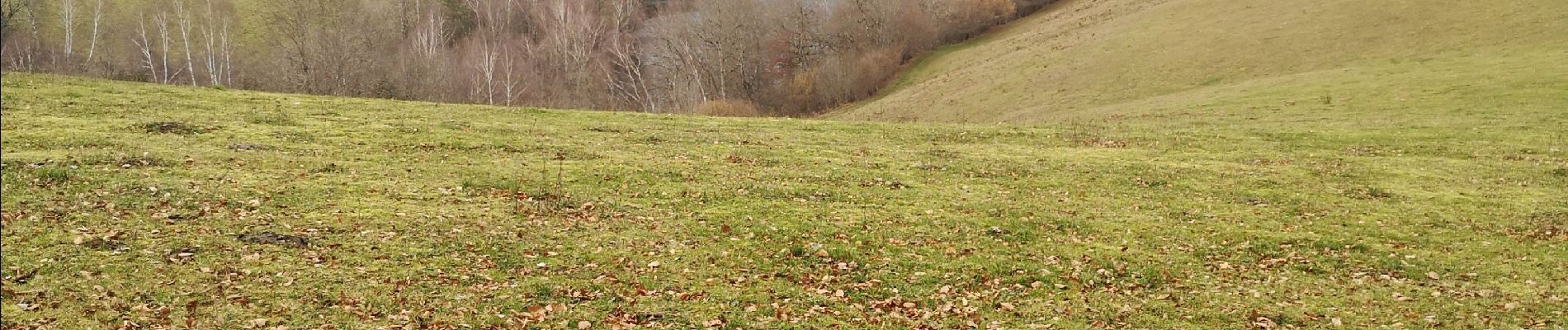 Tour Wandern Lafeuillade-en-Vézie - lafeuillade en vezie  - Photo